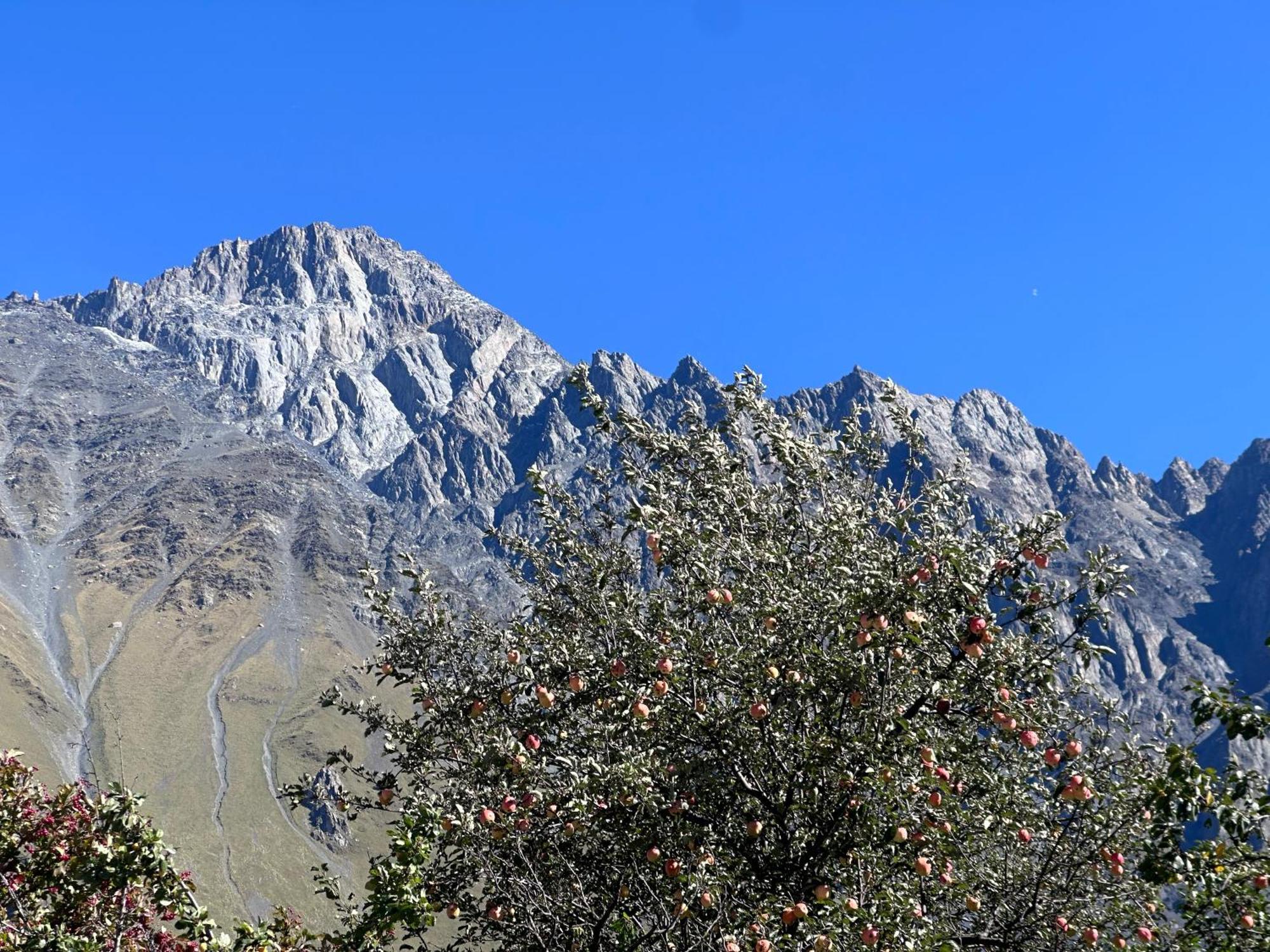 Hotel Mountime Kazbegi 외부 사진
